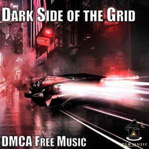Dark Side of the Grid Cover