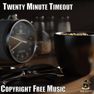 Twenty Minute Timeout Cover